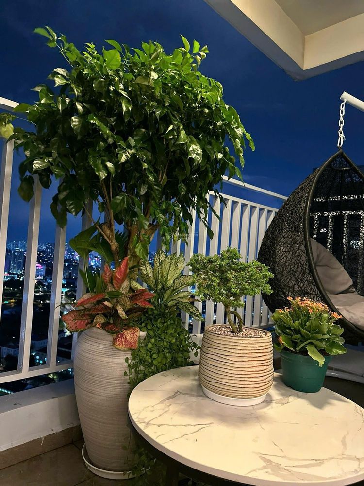 Cho Thuê Căn Hộ Riviera Point 3PN 148m² Đầy Đủ Nội Thất Lầu Cao View Toàn Cảnh 45 Triệu - Photo 8